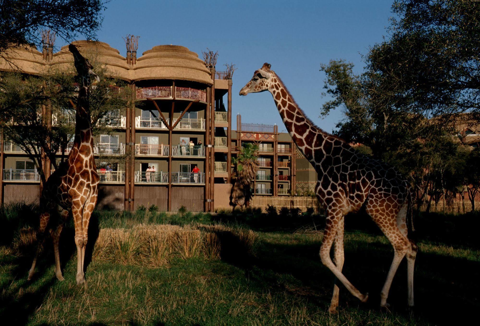 Disney'S Animal Kingdom Villas - Kidani Village Лейк-Буэна-Виста Экстерьер фото