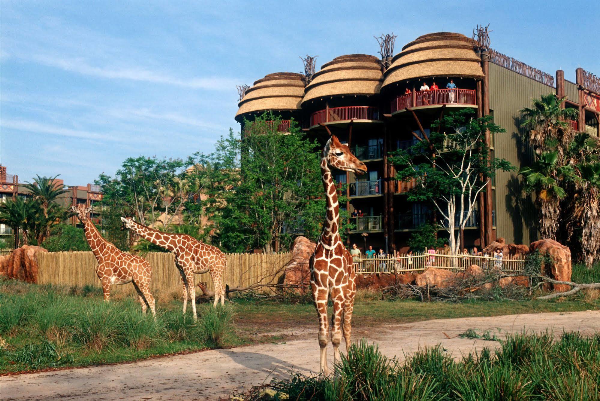 Disney'S Animal Kingdom Villas - Kidani Village Лейк-Буэна-Виста Экстерьер фото